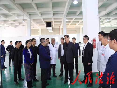 多宝在线(中国)机械
